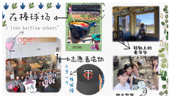 杨图片5.png